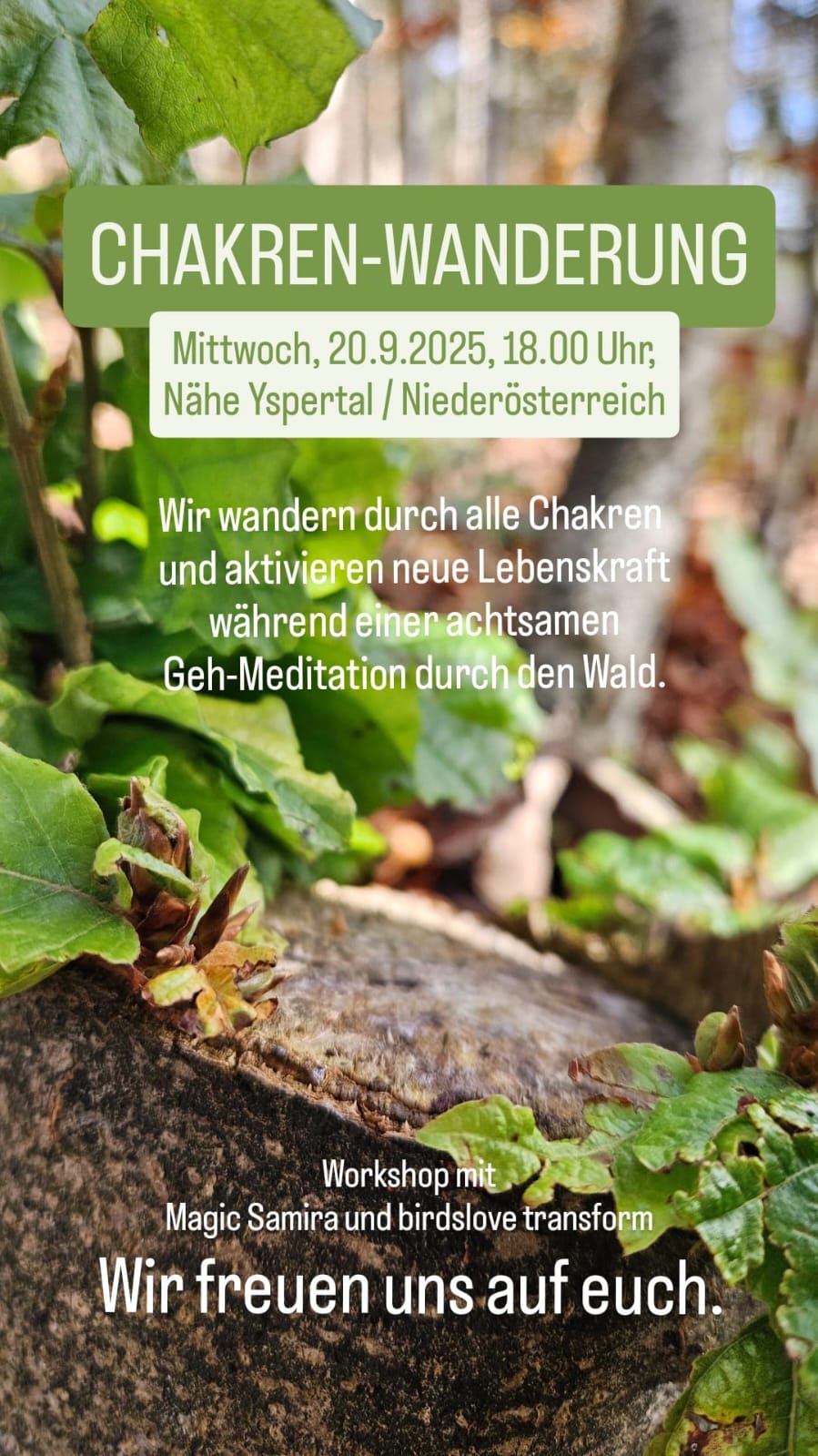 Energieausgleich € 140,00
