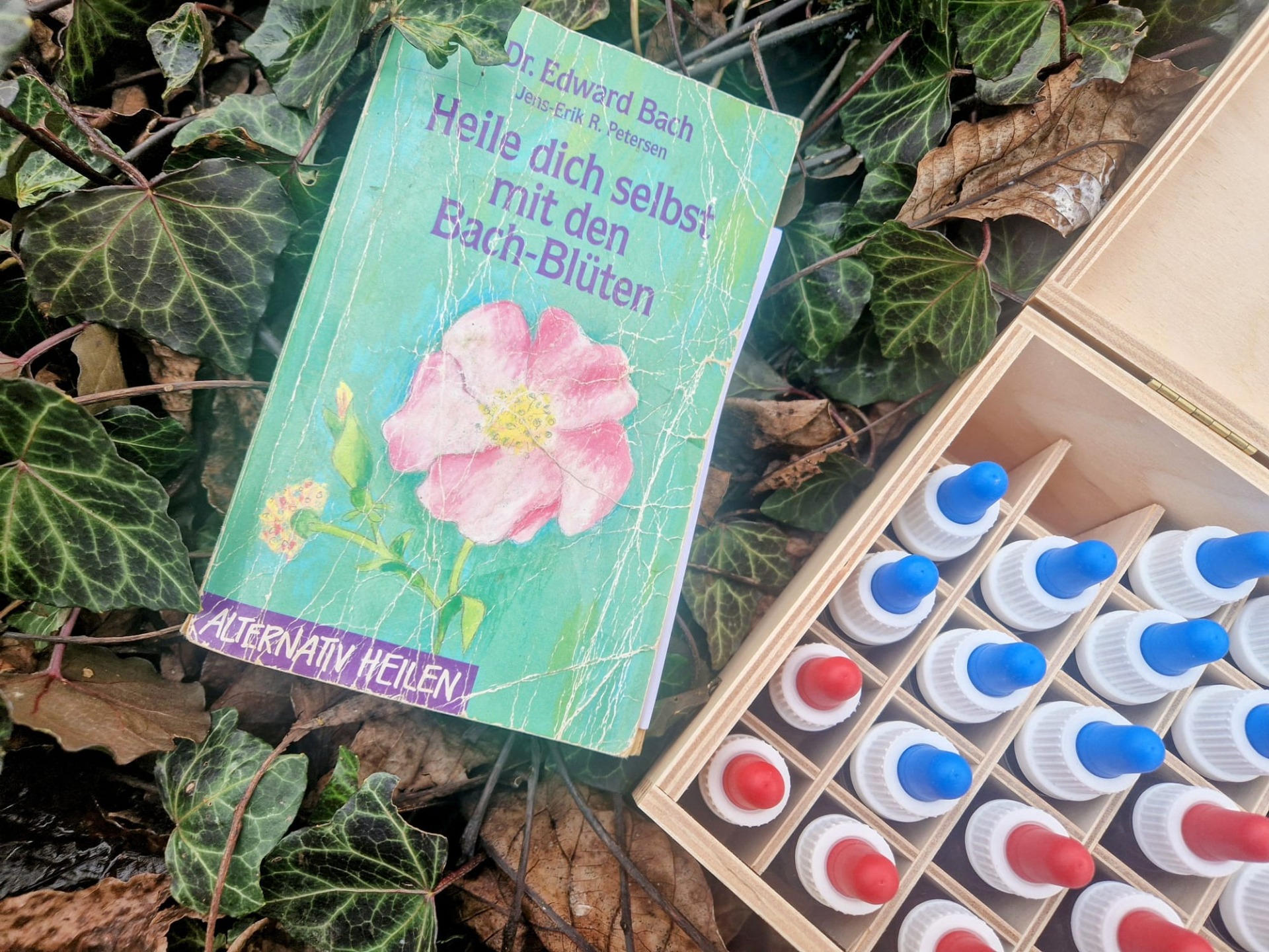 Bachblüten für Mensch & Tier